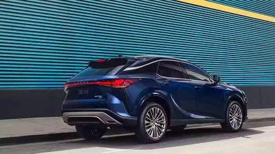 Lexus RX350 F Sport Is No Boring Lexus