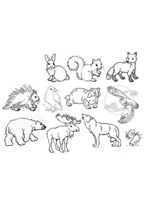 Зоопарк с животными леса иллюстрация вектора. иллюстрации насчитывающей буш  - 37773697