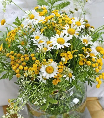 Самые красивые летние букеты - статьи интернет-магазина «Доставка цветов».
