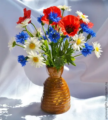 Картинки цветы, лето, поляна, ромашки, природа - обои 1280x800, картинка  №152394 | Ромашки, Натуральный, Природа