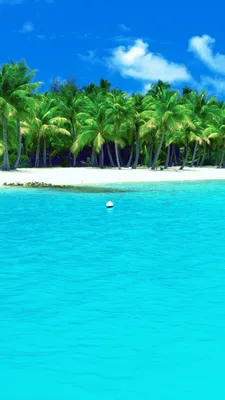 Обои лето, тропическая зона, море, Карибский бассейн, прибрежные и  океанические рельефы на телефон Android, 1080x1920 картинки и фото бесплатно