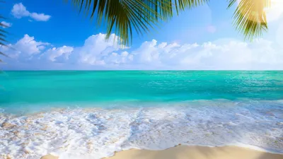 пляж телефон обои лето Фон Обои Изображение для бесплатной загрузки -  Pngtree