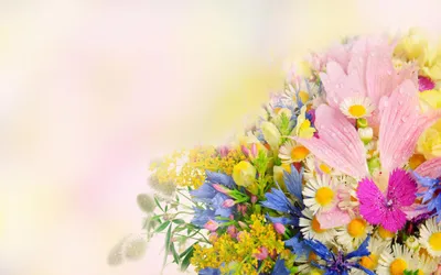 Бесплатное изображение: Композиция, Букет, ведро, подсолнечник, Лето, цветок,  Природа, Цветы, яркий, сад