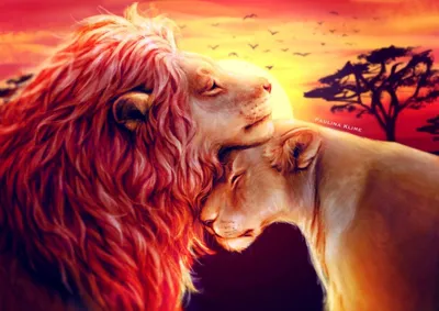 Лев и львица - красивые картинки (100 фото) - KLike.net