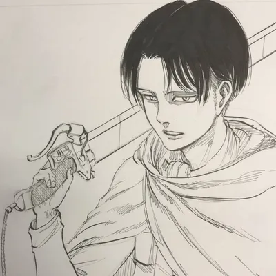 Леви во весь рост | Levi, Gambar anime, Gambar