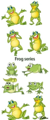 Красивые нарисованные лягушки - вектор. Stock: Frog series | Трафареты,  Лягушка, Павлиньи перья