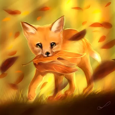 Фенек – маленькая лисичка