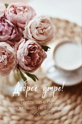 Доброе утро, группа 💗 | • Любовные романы Маргариты Дюжевой • | ВКонтакте
