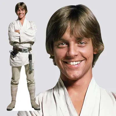 Ростовая фигура Люк Скайуокер (Luke Skywalker) (Звездные войны) вид 2  (554x1800 мм) - купить по выгодной цене | Магазин шаблонов Принт100