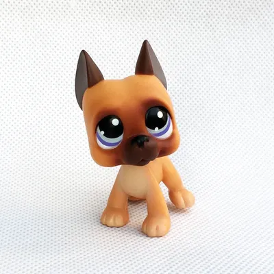 AUTHENTIC Littlest Pet Shop LPS #1864 Brown Tan Blythe Corgi Dog Blue Eyes  | eBay