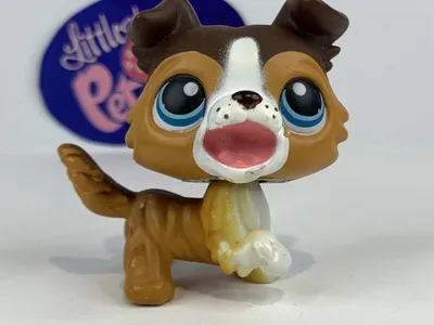 Купить LPS littlest pet shop такса собака собака из ПОЛЬШИ: отзывы, фото и  характеристики на Aredi.ru (9688914825)