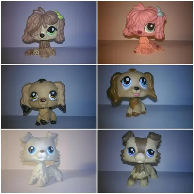 2 Фигурка Hasbro Littlest Pet Shop Зверюшка Коричневый щенок (собака) 62871  — покупайте на Auction.ru по выгодной цене. Лот из Калининградская область,  Калининград. Продавец Батя79. Лот 246355532343105