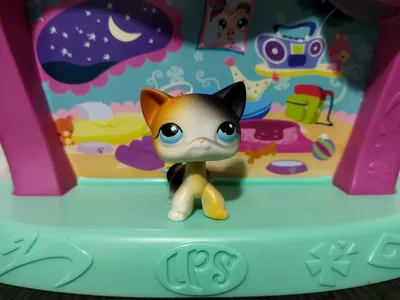 Lps игрушки, littlest pet shop лпс пэт шоп стоячки, кошки, аксессуары: 150  грн. - Коллекционирование Одесса на Olx