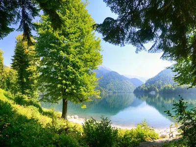 Экскурсия Озеро Мзы: через альпийские луга в Гаграх - цена 15000 ₽