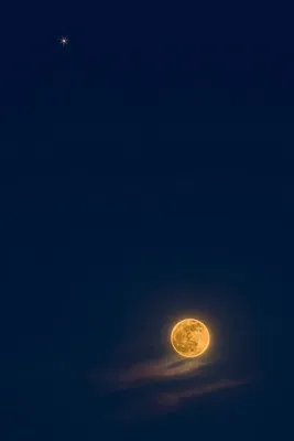 Луна Полная Свет Луны - Бесплатное фото на Pixabay - Pixabay