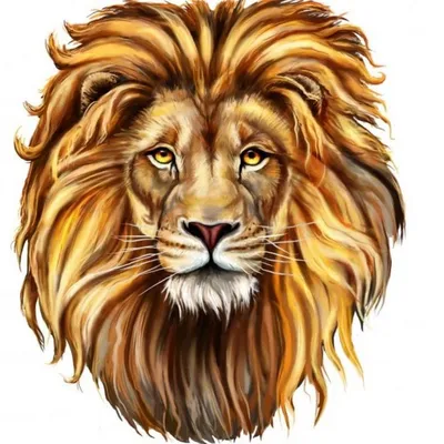 Нарисованный Лев в профиль - 48 фото