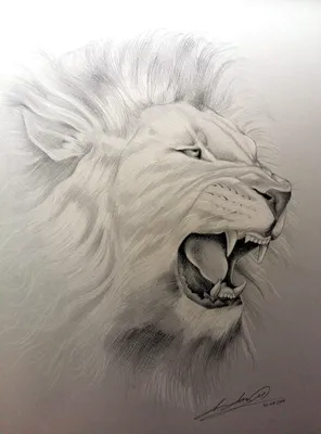 голова льва рисунок для торта: 2 тыс изображений найдено в Яндекс.Картинках  | Lion painting, Lion face drawing, Lion canvas painting