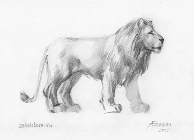 рисунок льва черно-белой иллюстрации, созданный ай Иллюстрация штока -  иллюстрации насчитывающей мило, нарисовано: 271637979