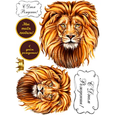 Как нарисовать льва | Художник Online | Дзен