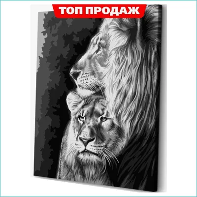 АртеМания Картина по номерам 40х50 Лев и львица