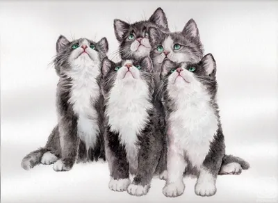 Семь маленьких котят
