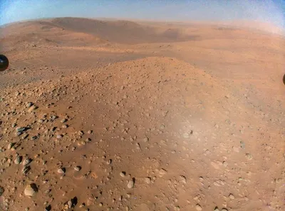 Mars Express наблюдал за Землей с орбиты Марса