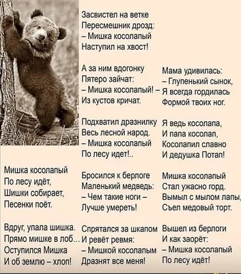 Маша и медведь (Абдульмахмуд Рахимов) / Стихи.ру