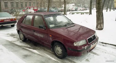 В Брянской области стали безнаказанно разъезжать машины с надписями матом |  Брянские новости