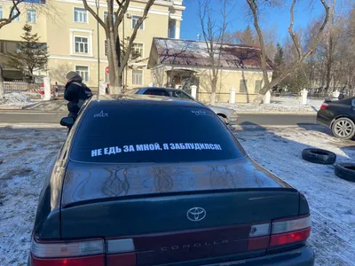 Я енот, отвернись, сам такой: какими надписями приморцы обклеивают свои  машины - UssurMedia.ru