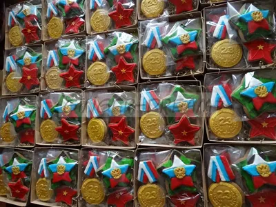 Медали, ордена, награды... | Новости | Пресс-центр | Гродненский  государственный медицинский университет