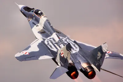 Save 50% on MiG-29 for DCS World on Steam