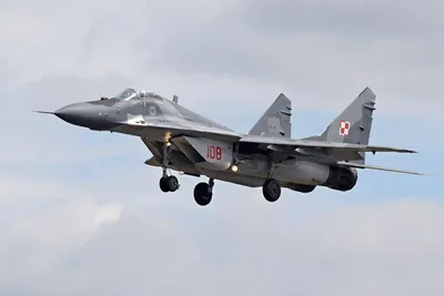Poland grounds MiG-29 fleet after fatal crash near Paslek