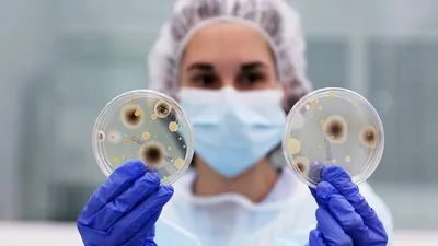 У человека нашли тысячи неизвестных микробов - Индикатор