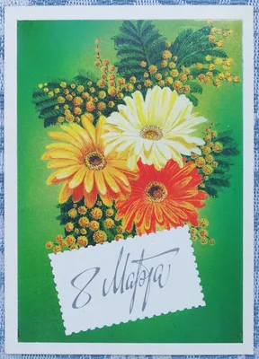8 Марта — Букет из красных тюльпанов и мимозы — Почтовая карточка 1981 года  - Старая открытка - открытки СССР
