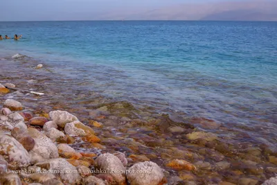 Натуральная грязь Мёртвого моря