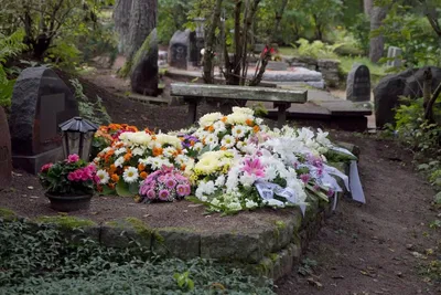 Фото могилы Фаины Раневской рассорило москвичей - Мослента