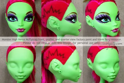 Monster High Venus McFlytrap Fierce Rockers Doll With Outfit – The  Serendipity Doll Boutique