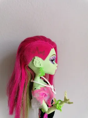 https://wertoys.com/monster-high-venus-mcflytrap-first-wave-doll-2011-mattel-x3651-nrfb/