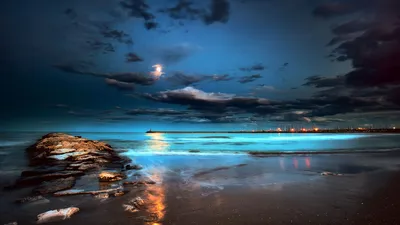 The Box - пляж эмоций. И сложно было ночью там в море заблудиться... ::  Александр Резуненко – Социальная сеть ФотоКто