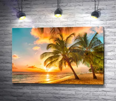 Солнце, море, пальмы. Закат на море Стоковое Изображение - изображение  насчитывающей небо, море: 180970539
