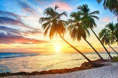 Закат на фоне моря красивой. Пляж и море, пальмы. сток-видео - Видео  насчитывающей солнечно, перемещение: 175315297