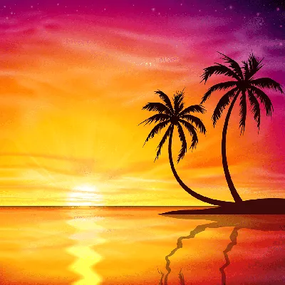 Море пляж закат пальмы - красивые фото