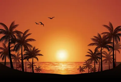 Пальма, закат солнца, море, фон фон картинки и Фото для бесплатной загрузки