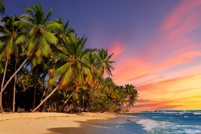 Пазл «Море, пальмы и закат» из 220 элементов | Собрать онлайн пазл №121074