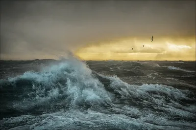 Зимние шторма на Балтийском море | Фотогалерея | ОБЩЕСТВО | АиФ Калининград