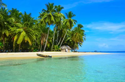 Фото море пляж пальмы в хорошем качестве (70 фото) »