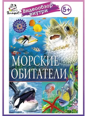 Игрушки резиновые фигурки-пищалки «Морские обитатели» 25 см. 117 / 6 шт.