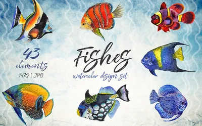 Морские рыбы - фото с названиями для детей