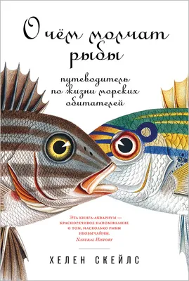 Выставка «Выставка морских рыб» в Новосибирске | A-a-ah.ru