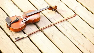 Топ 11 знаменитых индийских музыкальных инструментов. Часть 1 | Музыка -  настроение души ) | Дзен